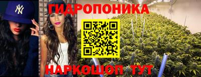 прущие грибы Долгопрудный