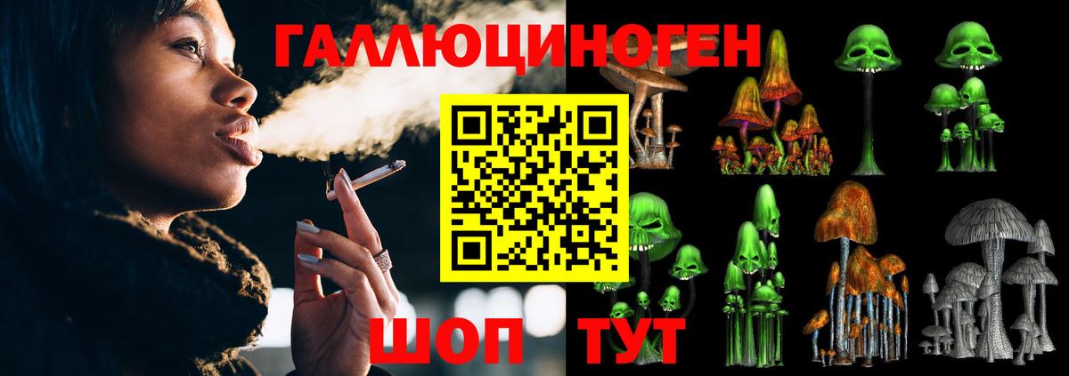 Галлюциногенные грибы MAGIC MUSHROOMS  Вход с VPN  Псилоцибиновые грибы GOLDEN TEACHER  Гудермес 